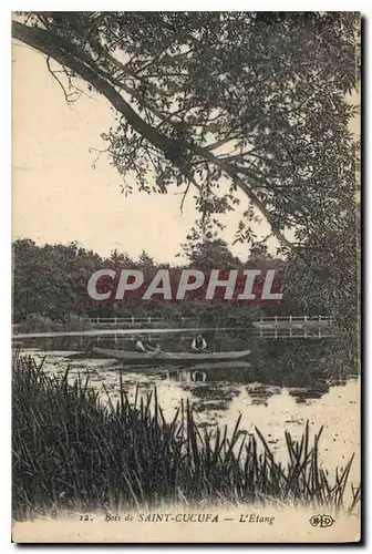 Cartes postales Bois de Saint Cucufa l'Etang