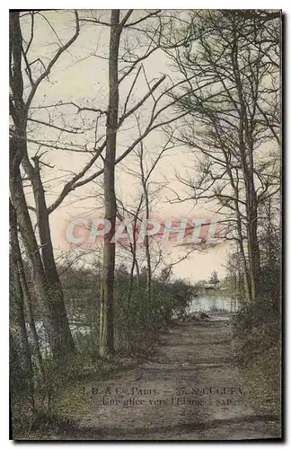 Cartes postales St Cucufa Une allee vers l'Etang