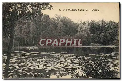 Cartes postales Bois de Saint Cucufa l'Etang