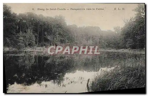 Cartes postales Etang de St Cucufa Perspective vers la Ferne