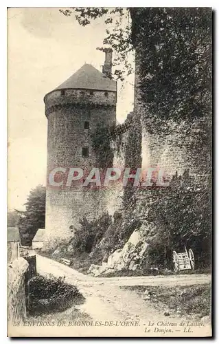 Cartes postales Environs de Bagnoles de l'Orne Chateau de Lassay Le Donjon