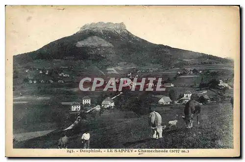 Cartes postales Dauphine le Sappey Chamechaude Vaches