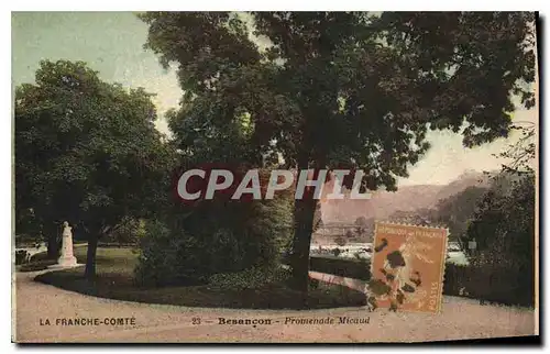 Cartes postales Besancon Promenade Micaud