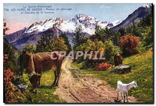 Ansichtskarte AK La Savoie Pittoresque les Alpes de Savoie retour de Paturage et Glaciers de la Vanoise Chevre Va