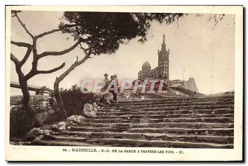 Cartes postales Marseille N D de la Garde a travers les Pins