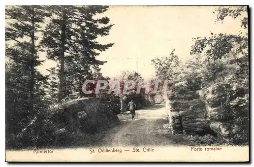 Cartes postales St Odilienberg Ste Odile Porte romaine