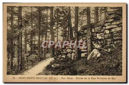 Cartes postales Mont Sainte Odile Mur Paien Entree de la Vole Romaine de Barr