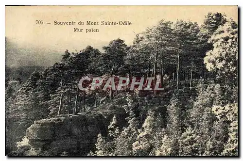 Ansichtskarte AK Souvenir du Mont Sainte Odile Mur Palen