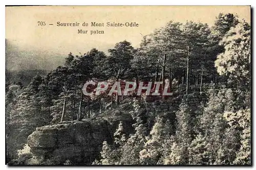 Cartes postales Souvenir du Mont Sainte Odile Mur Palen