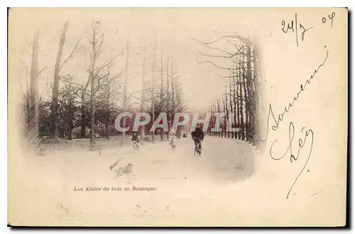 Cartes postales Les Allees du bois de Boulogue