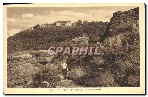 Cartes postales Mont Ste Odile Le Mur Paien