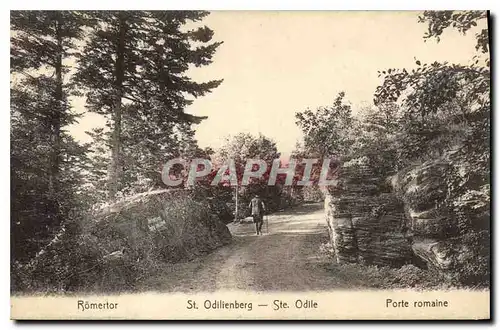 Cartes postales Ste Odile Porte romaine
