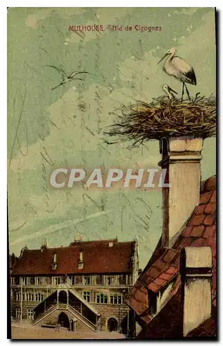 Cartes postales Mulhouse Nid de Cigognes