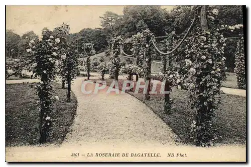 Cartes postales La Roseraie de Bagatelle