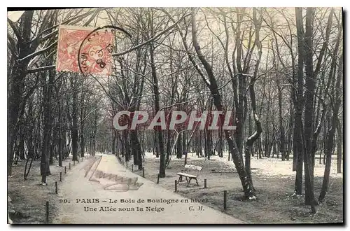 Cartes postales Paris Le Bois de Boulogne en hives Une Allee sous la Neige