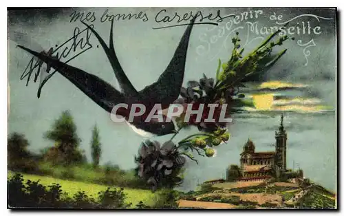 Cartes postales Souvenir de Marseille Hirondelle