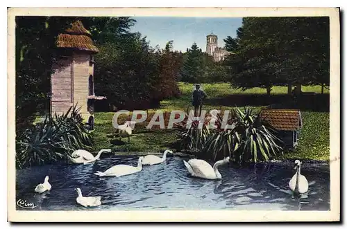Cartes postales Valence (Drome) Au parc Jouvet Les Cygnes