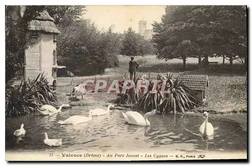 Cartes postales Valence (Drome) Au Parc Jouvet Les Cygnes