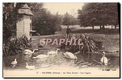 Cartes postales Valence (Drome) Au Parc Jouvet Les Cygnes