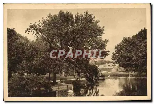 Cartes postales Valence sur Rhone Pac Jouvet Les Cygnes