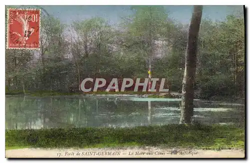 Cartes postales Foret de Saint Germain en Laye La Mare aux Canes Vue Artistique