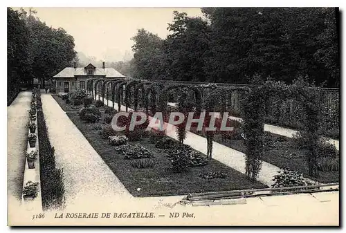 Cartes postales La Roseraire de Bagatelle