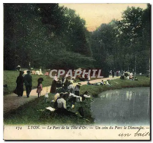 Cartes postales Lyon Le Parc de la Tete d'Or Un Coin du Parc le Dimanche