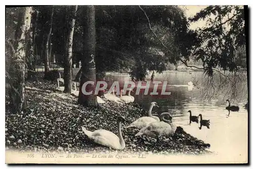 Cartes postales Lyon Au Parc Le Coin des Cygnes