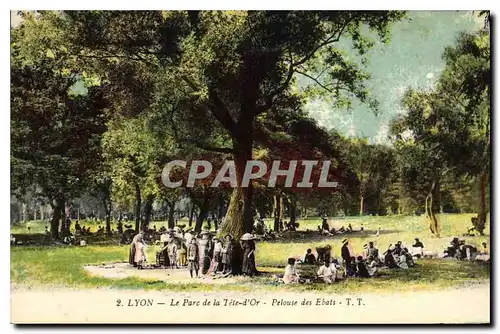 Cartes postales Lyon Le Parc de la Tete d'Or Pelouse des Ebats