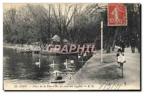 Cartes postales Lyon Parc de la Tete d'Or Le Coin des Cygnes