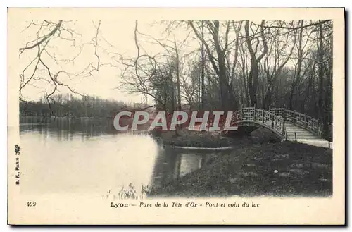 Ansichtskarte AK Lyon Parc de la Tete d'Or Pont et coin du lac