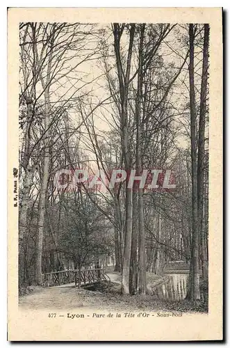 Cartes postales Lyon Parc de la Tete d'Or Sous Bois