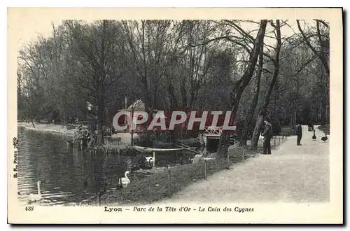 Cartes postales Lyon Parc de la Tete d'Or Le Coin des Cygnes