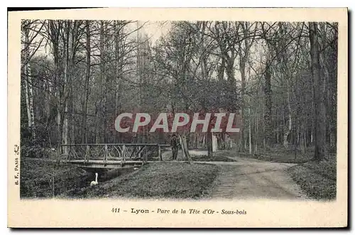 Ansichtskarte AK Lyon Parc de la Tete d'Or Sous Bois