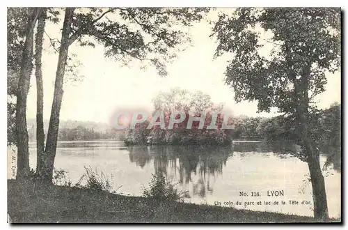 Cartes postales Lyon Un Coin du Parc et lac de la Tete d'Or