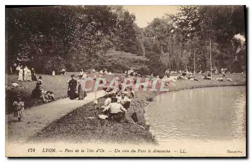 Ansichtskarte AK Lyon Parc de la Tete d'Or Un Coin du Parc le dimanche