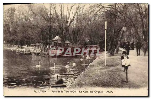 Cartes postales Lyon Parc de la Tete d'Or Le Coin des Cygnes