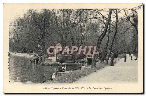 Ansichtskarte AK Lyon Parc de la Tete d'Or Le Coin des Cygnes