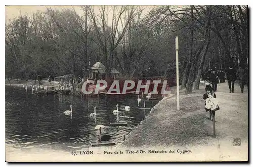 Cartes postales Lyon Parc de la Tete d'Or Refectoire des Cygnes