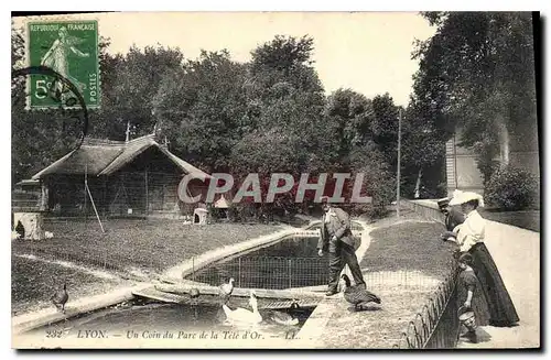 Cartes postales Lyon Un Coin du Parc de la Tete d'Or