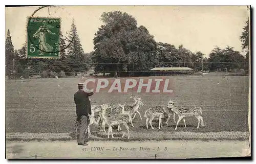 Cartes postales Lyon Le Parc aux Dains