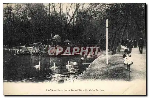 Ansichtskarte AK Lyon Parc de la Tete d'Or Un Coin du Lac