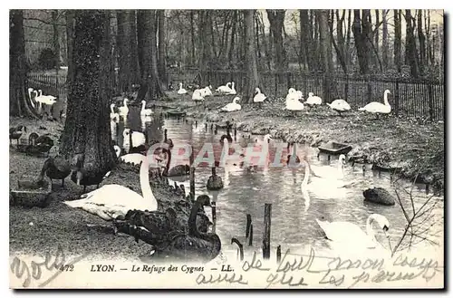 Ansichtskarte AK Lyon Le Refuge des Cygnes