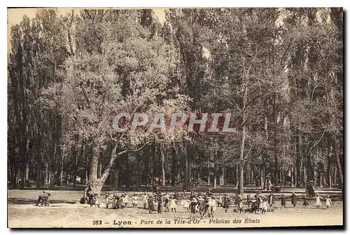 Cartes postales Lyon Parc de la Tete d'Or Pelouse des Ebats Enfants