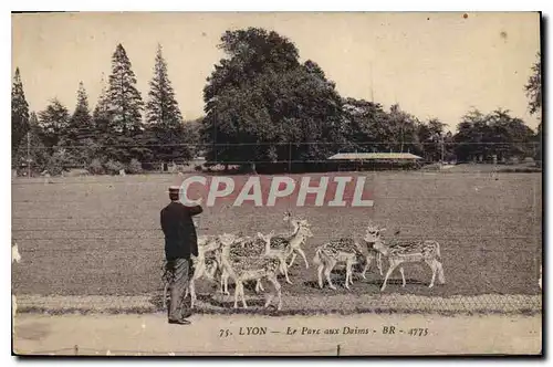 Cartes postales Lyon Le Parc aux Daims