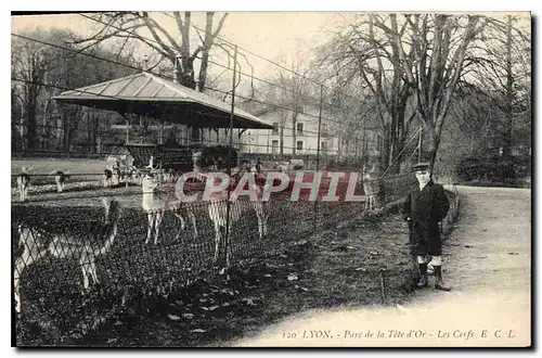 Cartes postales Lyon Parc de la Tete d'Or Les Ceufs