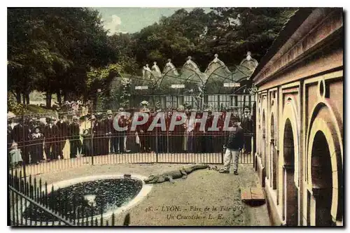 Cartes postales Lyon Parc de la Tete d'Or Un Crocodile