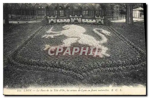 Cartes postales Lyon Le Parc de la Tete d'Or les armes de Lyon en fleurs naturelles