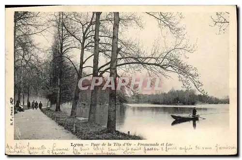 Cartes postales Lyon Parc de la Tete d'Or Promenade et Lac Peche Pecheur