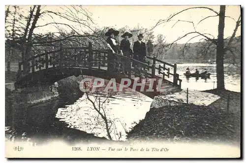 Cartes postales Lyon Vue sur le Parc de la Tete d'Or